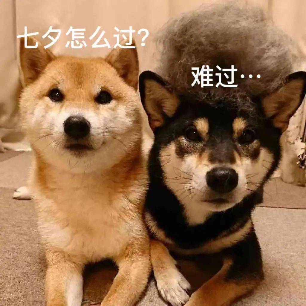 七夕限定 | 七夕众生图鉴_单身