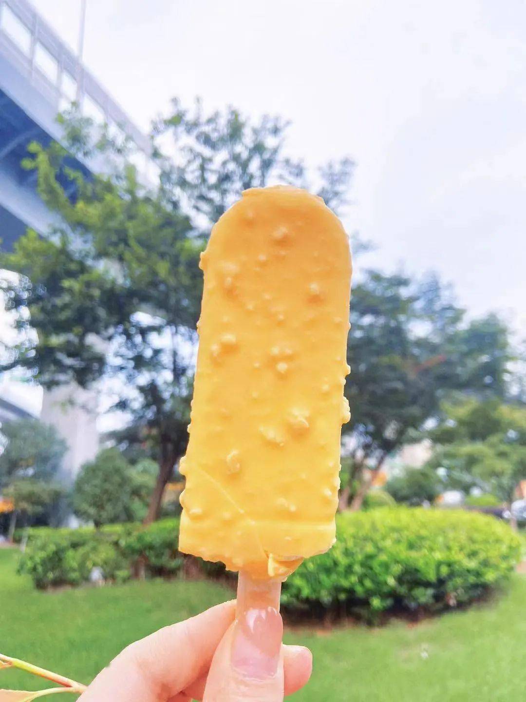 9支爆火雪糕大测评:真不是越贵越好吃!