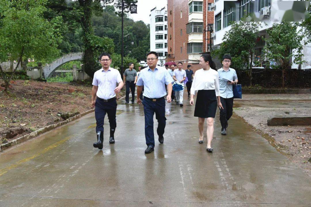 在华林山镇集镇调研观摩在八景镇农贸市场调研观摩康健带领与会人员