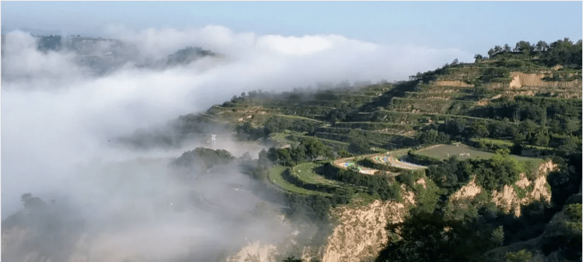 虎山生态园花海游乐场全面开放开启璀璨灯光夜景模式
