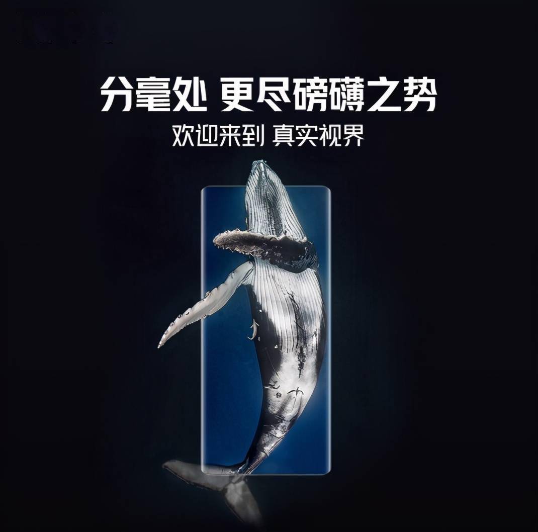 5c9e5286ee9e4df4a920a36107a419ef.jpeg