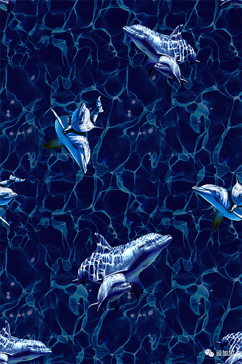 套装|设计图案丨夏季印花 四方连续