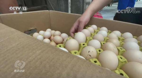 网格|焦点访谈：坚守在防疫“前哨”