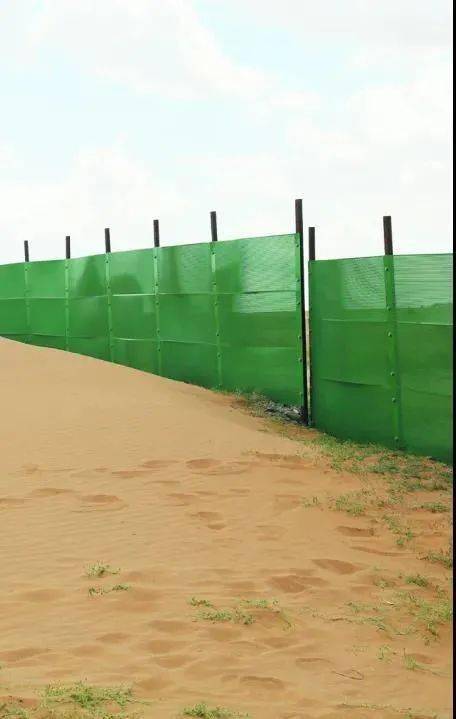 高立式沙障在京新高速公路建设期间,施工单位在公路两侧路边上风侧300