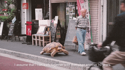 bc92535b582c4c2f872cb9781bf5e6cb.gif