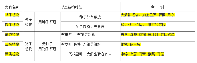 初中生物会考常考知识点精简版 通用 动物体