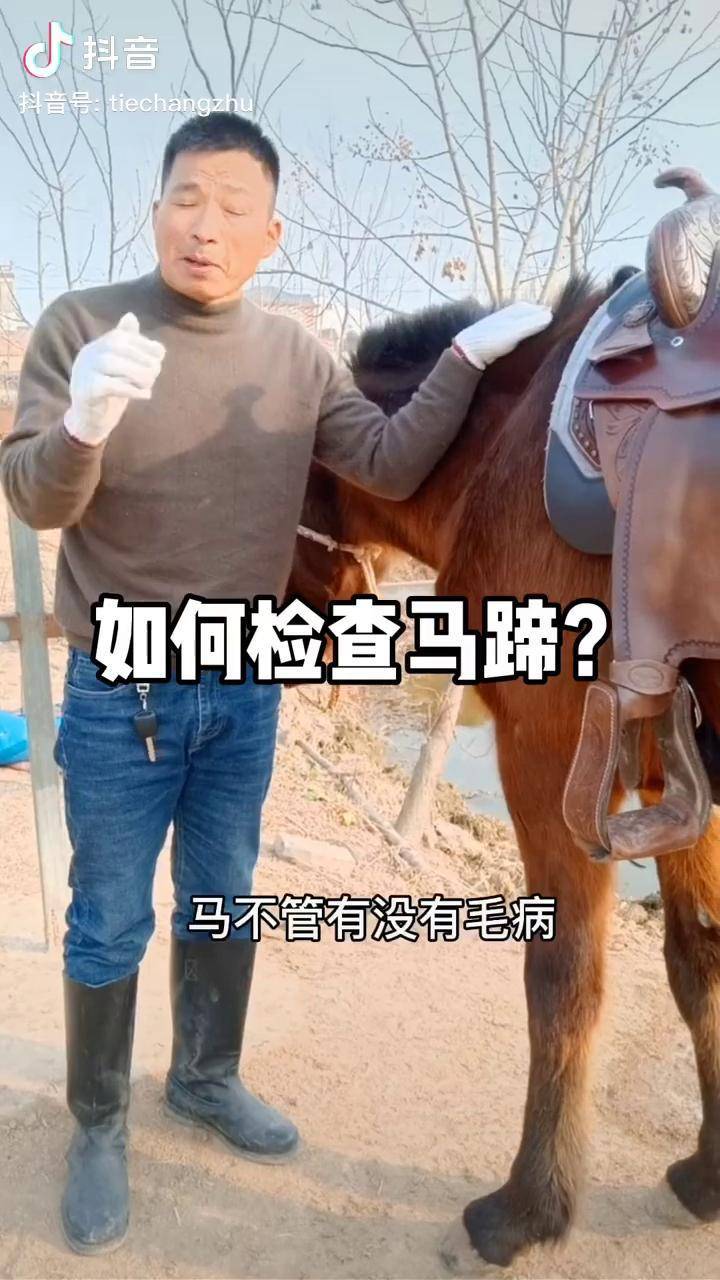要养成检查马蹄儿的习惯拍马屁的习惯要戒掉热门骑马
