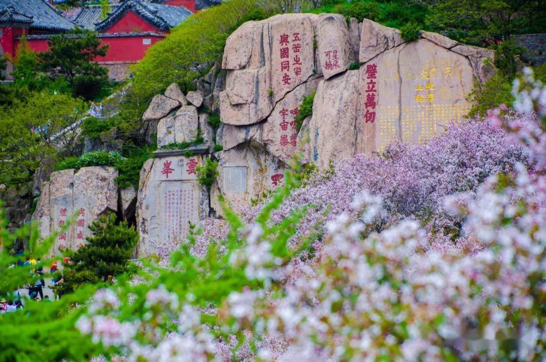 瞰中國·世界遺產——泰山_文化