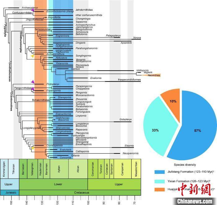 盆地|最新研究：热河生物群演化与华北克拉通破坏有时空关联