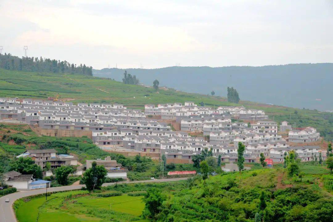 姜州镇距离县城24公里,g353国道穿镇而过,自古商贾云聚,是南丝绸之路