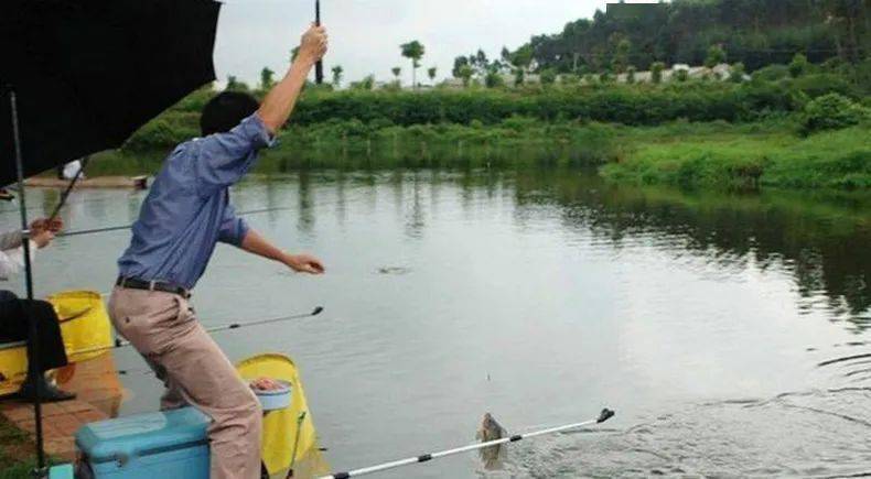 小鱼怎么钓最合理 28c79e6b9c364be1b5158a91ff32f83a.jpeg