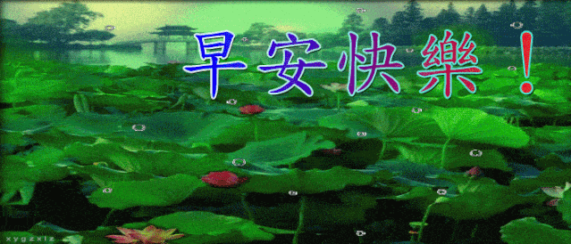 不用打字就可以聊天的早上好表情图片,秋日早安问候祝福动画表情包