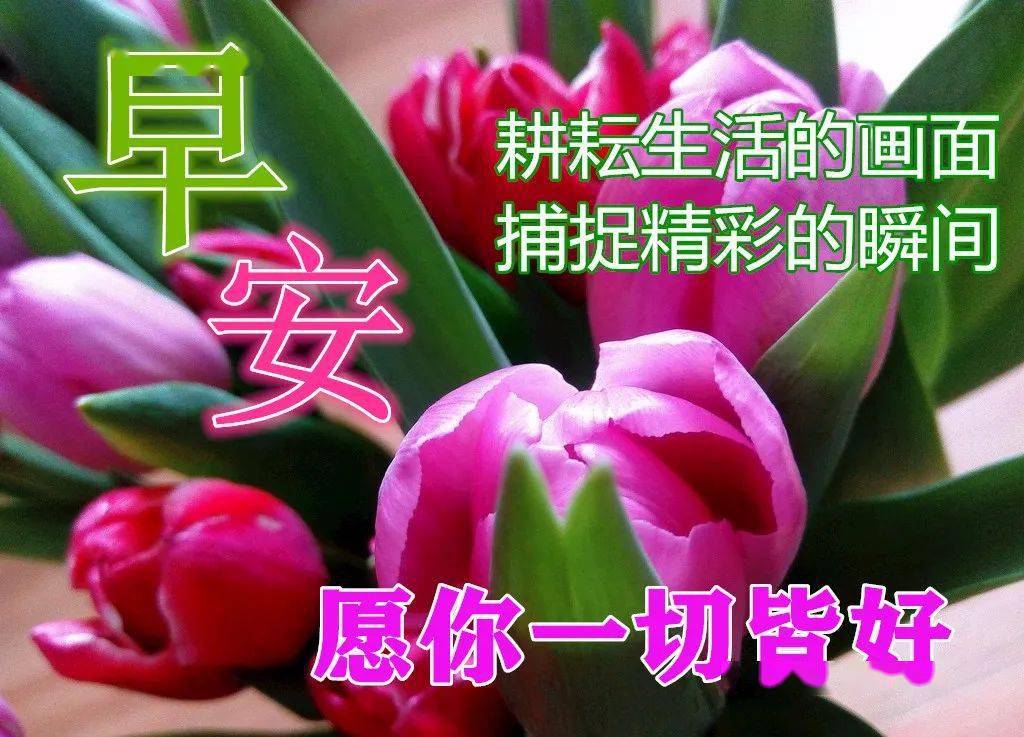63f3ca1398f249b3b31a749e44a93ca0.jpeg