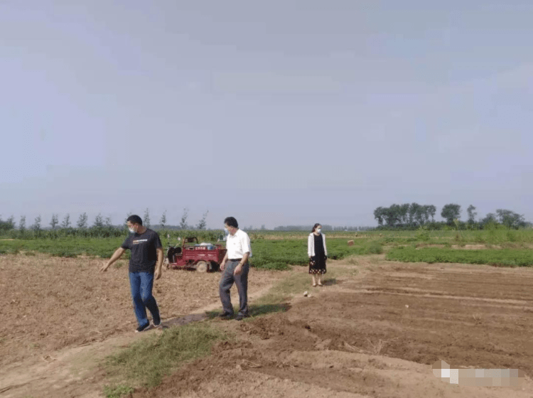 农户|石婆固镇：浴“水”重生保产量生产自救补种忙