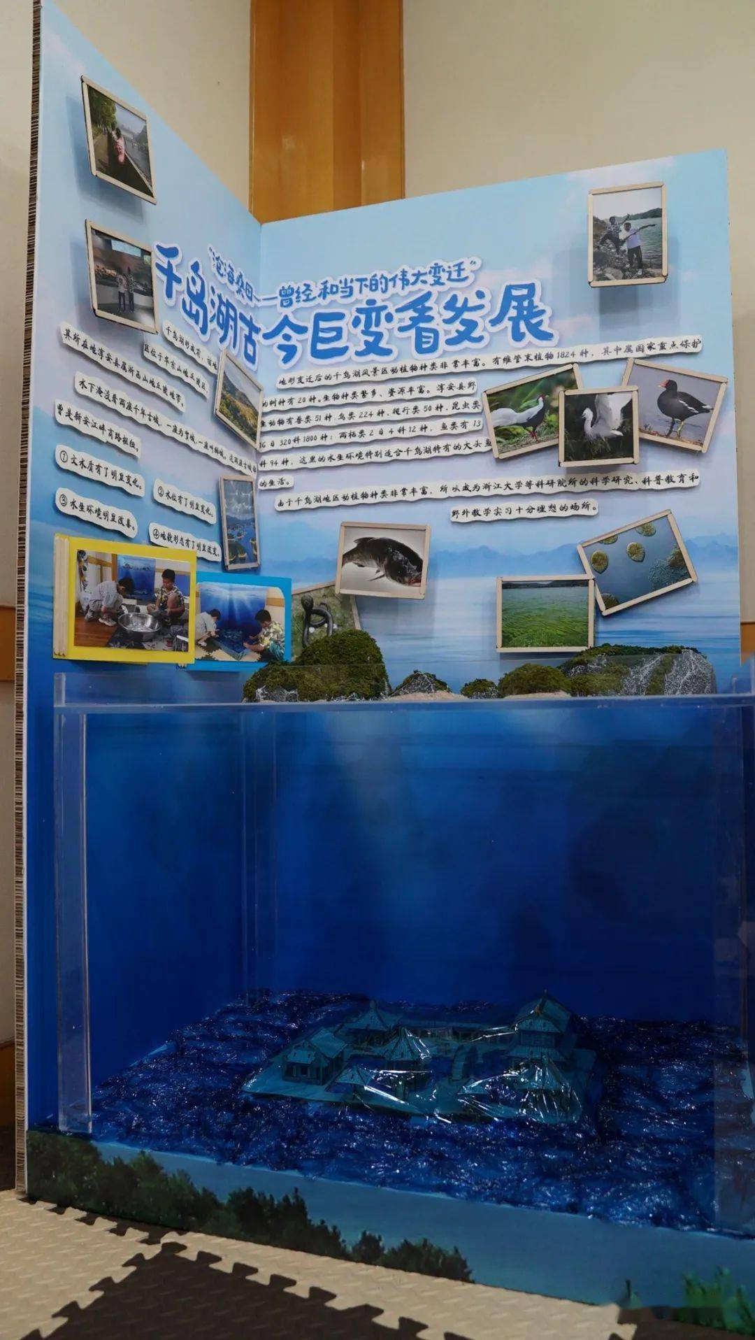 "童"心协力护自然——杭州市少先队爱鸟俱乐部小会员们在环球自然日