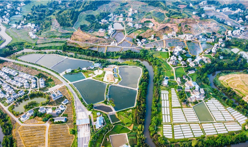 达川区双庙镇抓小抓早抓好把实事办到群众心坎上