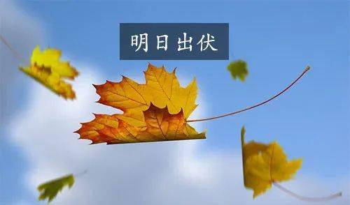 出伏的意思 指的就是出了伏天,伏天结束,秋天快要来临 2021年三伏天