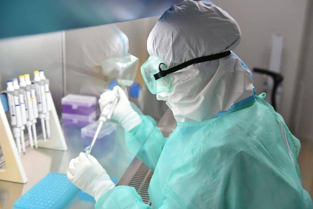 最新核酸检测报告哪里查什么时候查这份攻略请收好