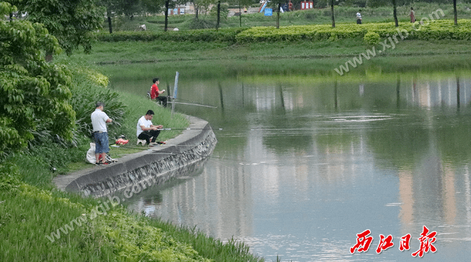 彩虹湖公园钓鱼图片