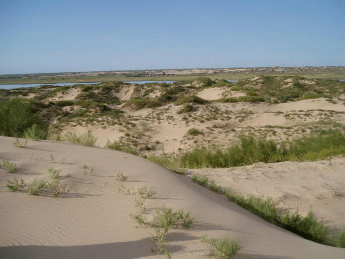 生态科普阅读 | 快拦住ta!_荒漠化