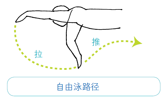 8f055b75d69543989c961b4d5db406cb.png