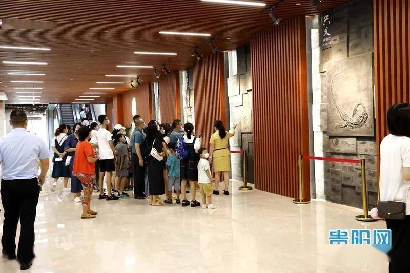 贵州省地质博物馆“一票难求”，官方回应来了