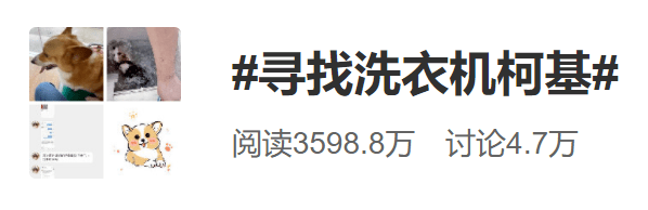 用户|全网都在寻找洗衣机柯基！希望我们还来得及...