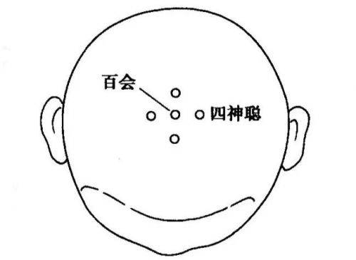 阳气|秋天容易疲劳？推荐缓解秋乏的四个小妙招～