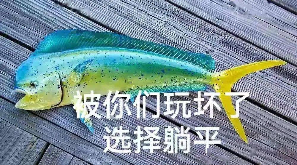 潍坊海边现大量变色海鱼