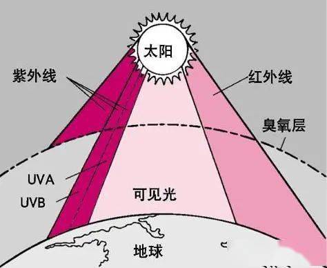 地表|地表最强，军训存活指南