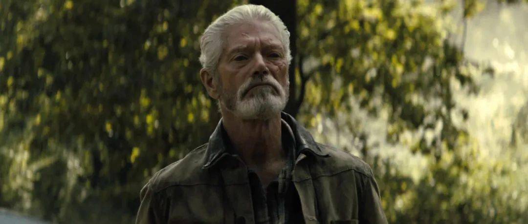 美国|上映即上线，这些恐怖片当然要第一时间看！