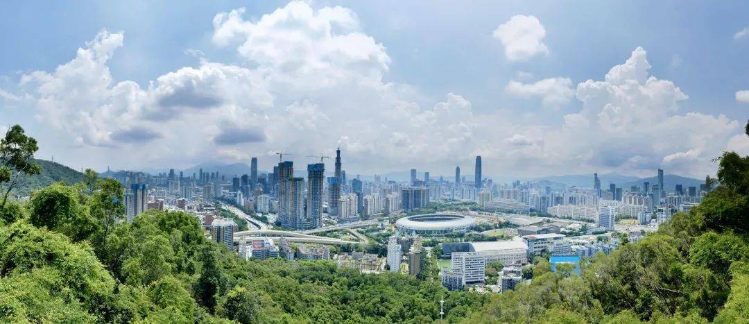 福田这个公园竟然藏着一个城市秘境还有数不清的奇花异草