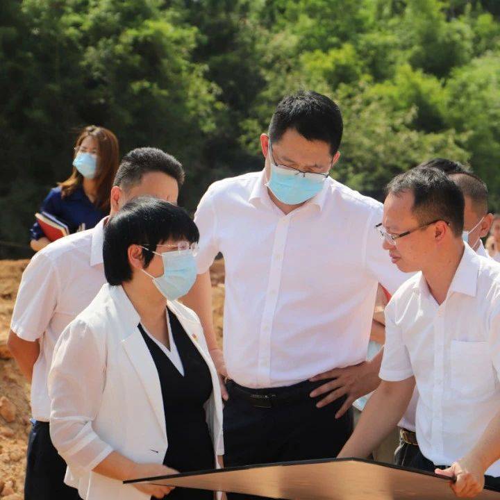 新区党委主要领导调研重点项目建设推进情况_孙宇红