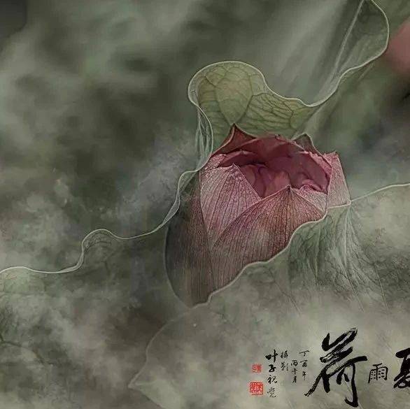 有一种人，待人和善，却习惯独来独往_生活