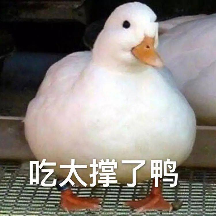 175c6a370719427682d4ade073756bbc.jpeg