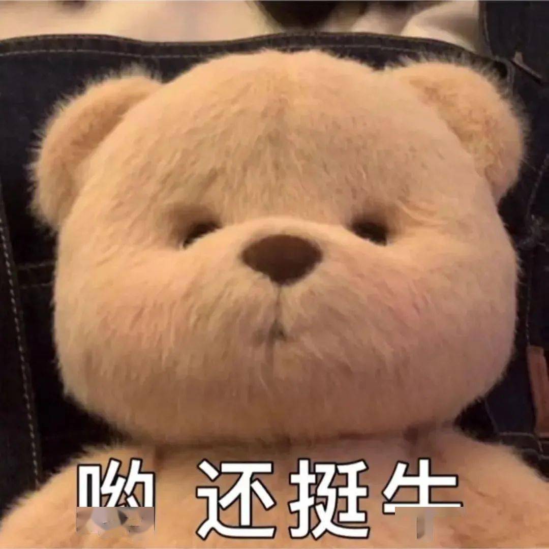 朋友圈出了动态功能?这是什么骚操作?