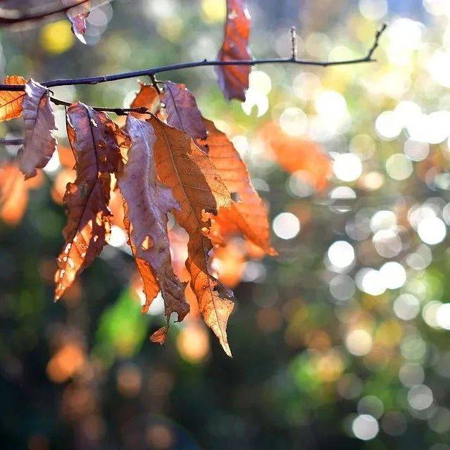 做人：凭良心，尽本分！_感情