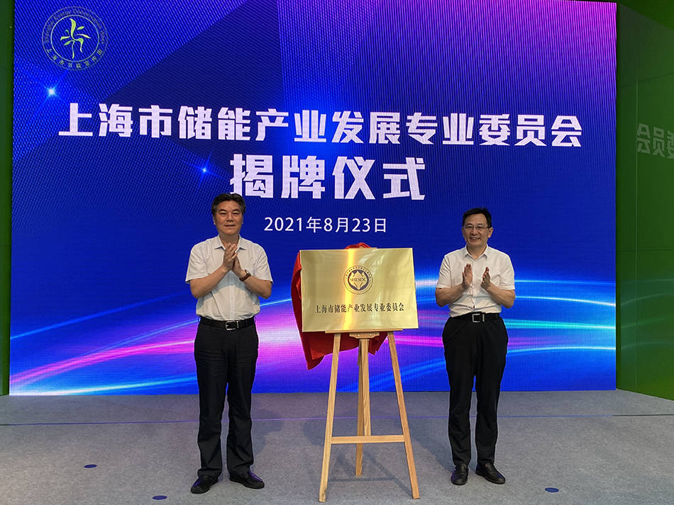 节能|节能宣传周开幕，上海市储能产业发展专业委员会揭牌成立