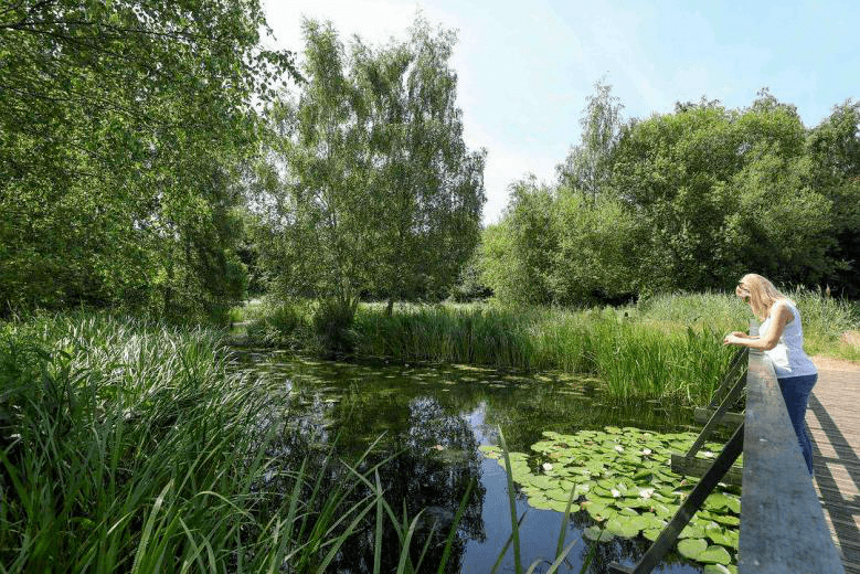 生态科普阅读 生态修复典型案例：伦敦湿地公KK体育园(图5)