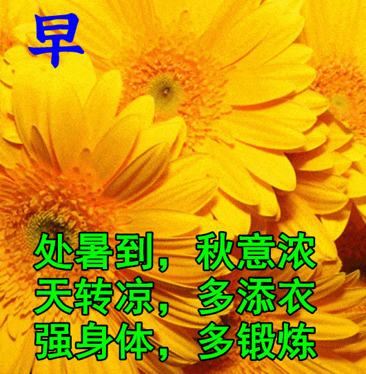 8月23日处暑最漂亮早上好动态表情图片大全,早晨好动图美图大全