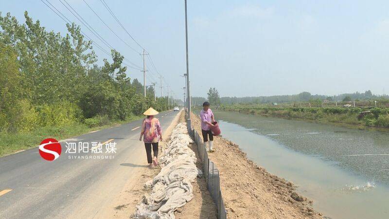 泗阳：“农路+”助力乡村振兴