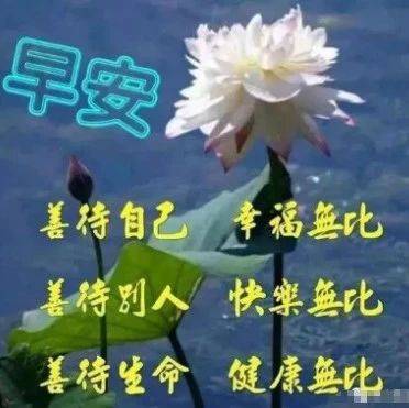 致所有人的一段话_折磨