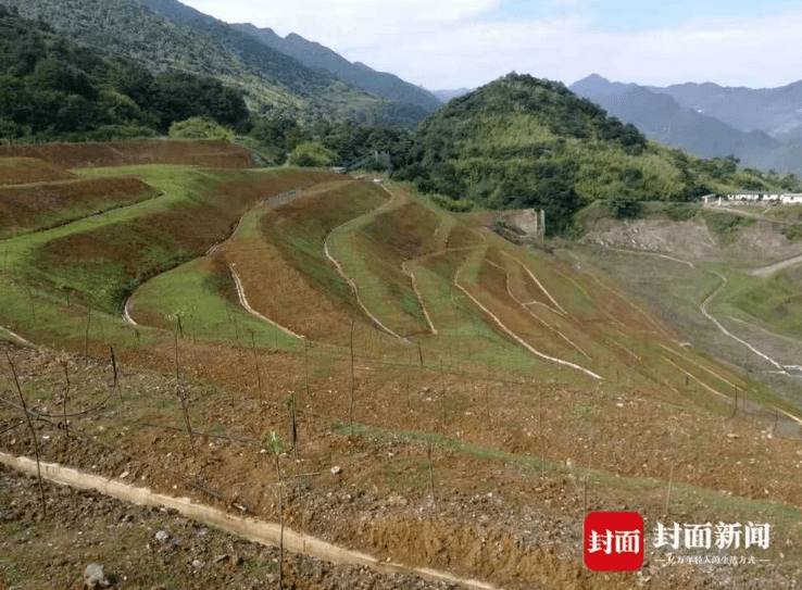 矸石山盖“泥土被子”华蓥山绿水洞煤矿矸石场变青山｜筑牢长江黄河上游生态屏障