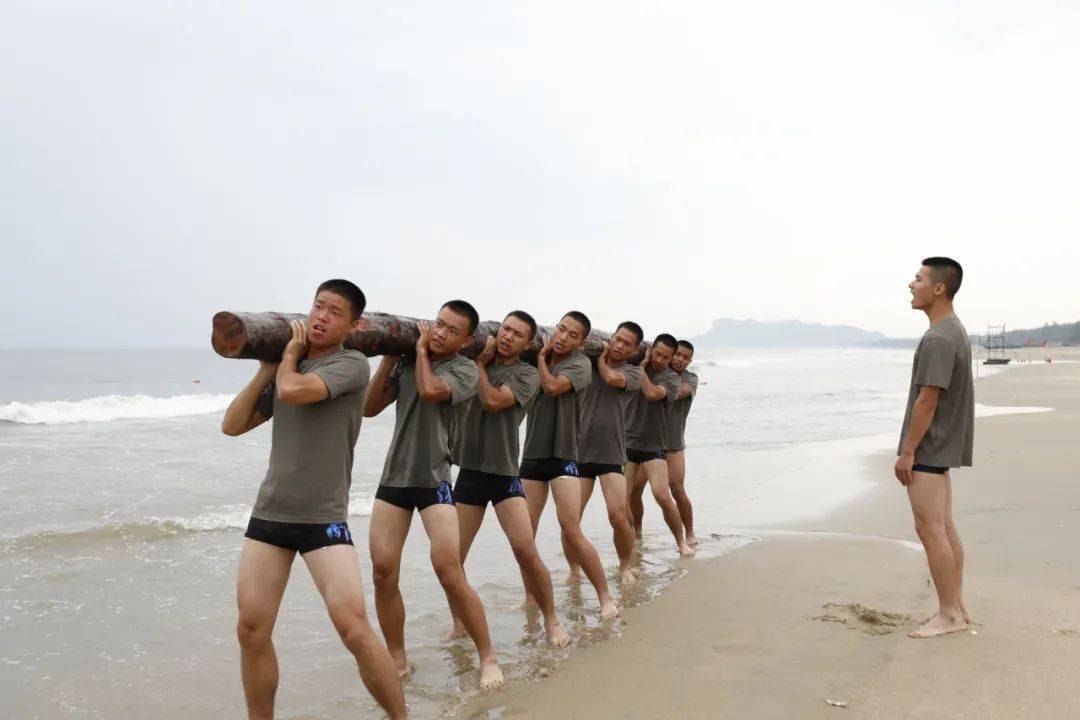 直击海训现场风浪铸就两栖尖兵
