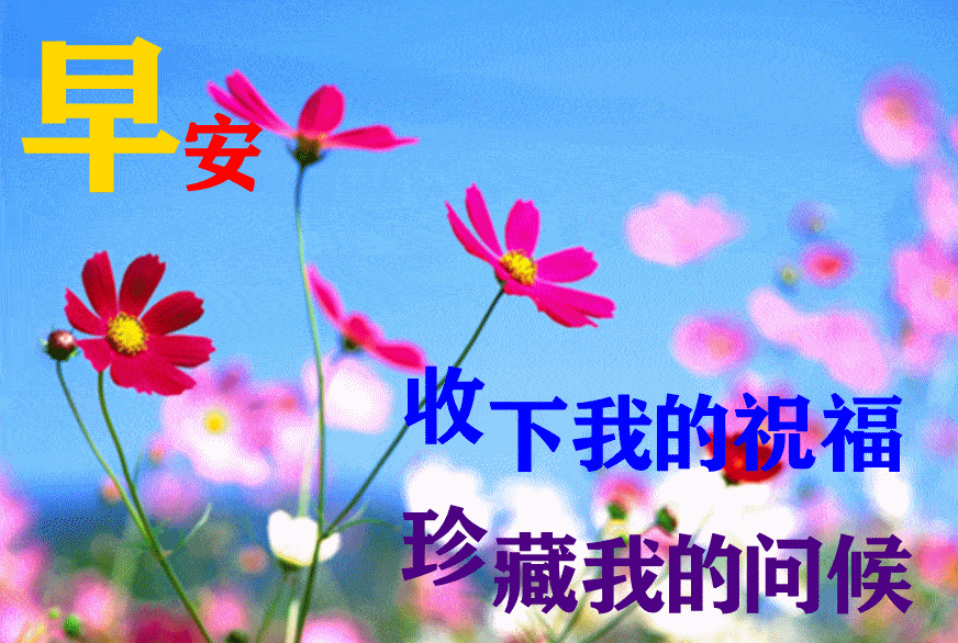 早安愉快表情包闪图 周二早安问候语录短信句子祝福朋友_心语