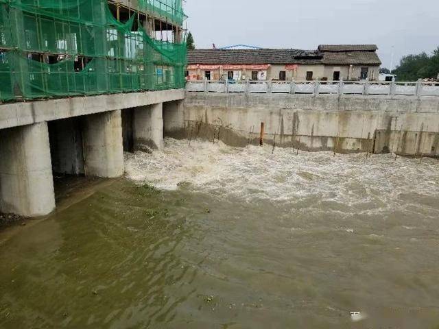 仙桃市杨林尾泵站工程图片