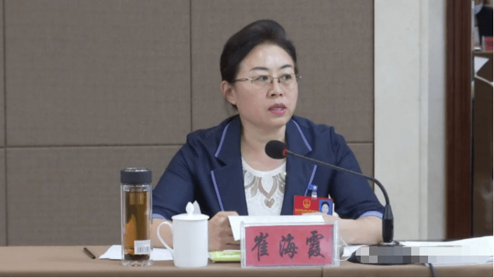 衡水市长吴晓华到我市代表团审议衡水市政府工作报告