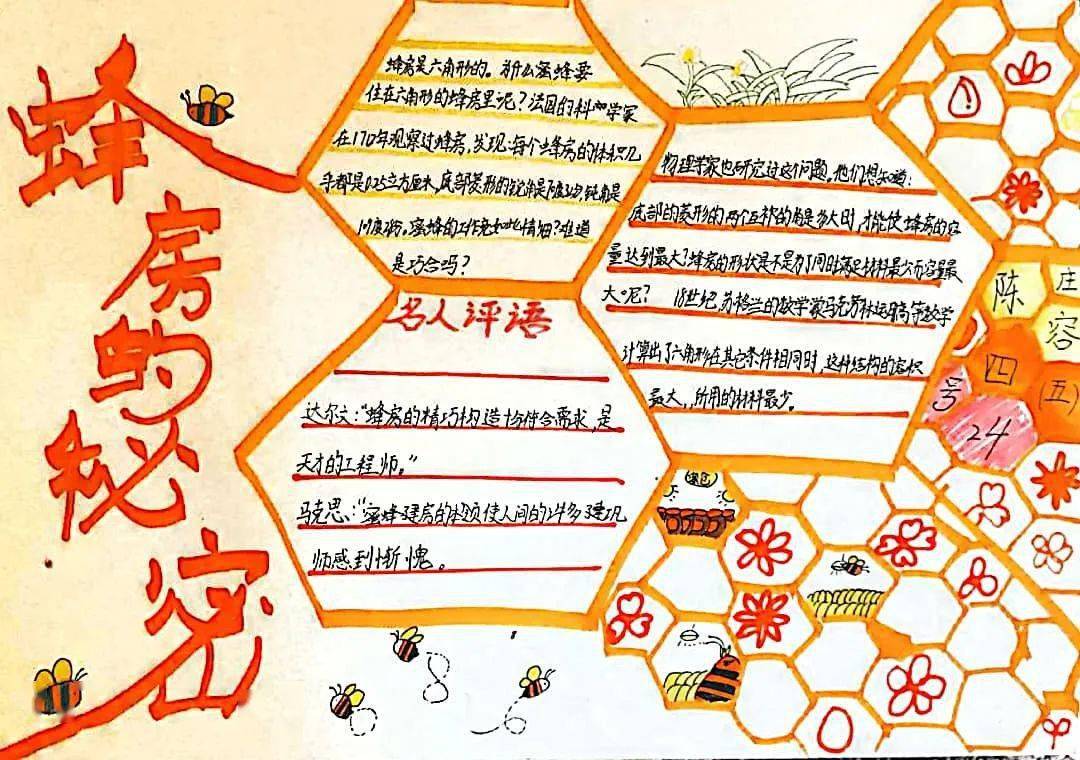 数学之美丨探寻数学的奥秘