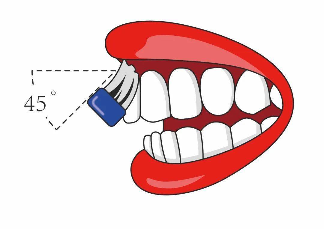 图片来源:闫恺潇医生制作很多讲巴氏刷牙法的,喜欢列举好几点教大家