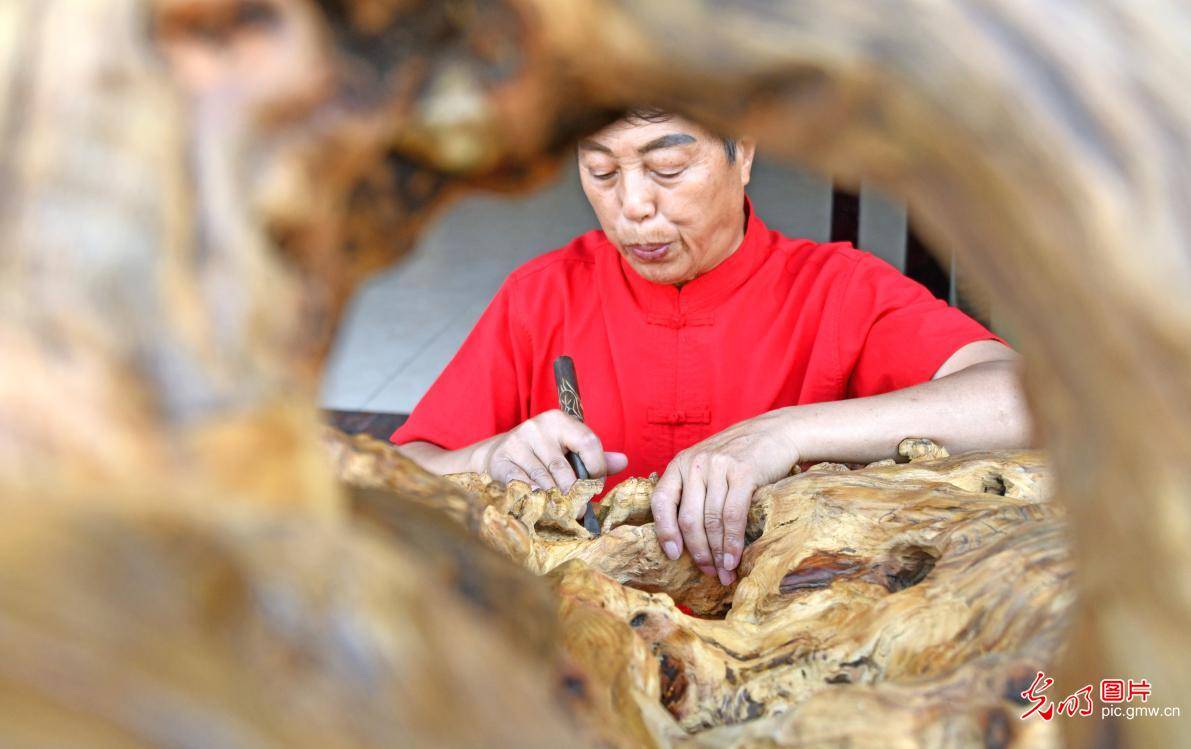 of|Root Carving Art Museum in E China's Zhejiang letting more people get to know the craft